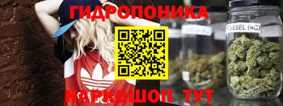 молекула духа Лениногорск