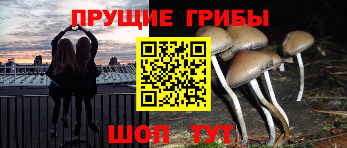 Галлюциногенные грибы MAGIC MUSHROOMS Горно-Алтайск