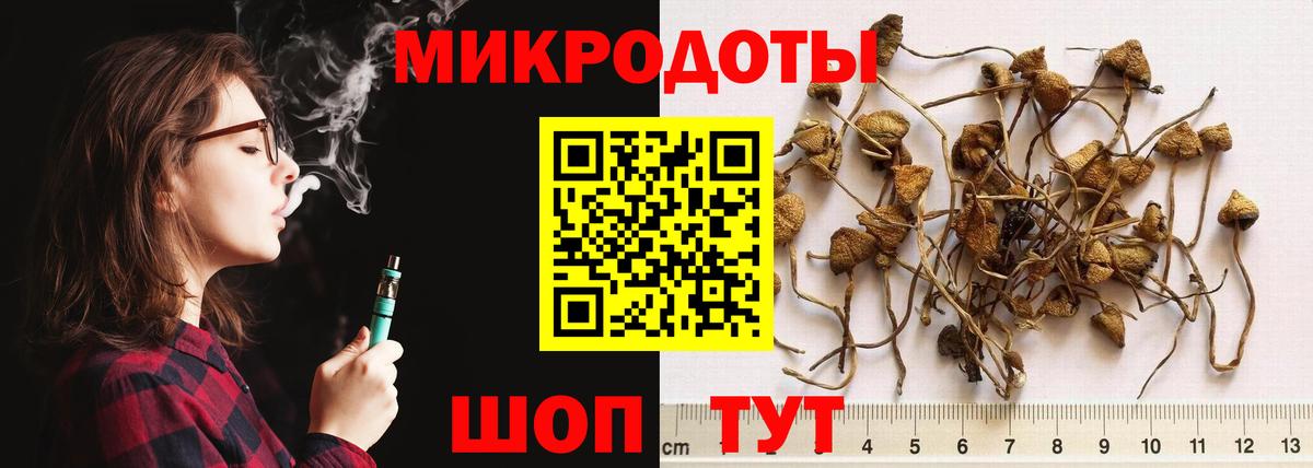 Псилоцибиновые грибы MAGIC MUSHROOMS  Галлюциногенные грибы мицелий  Горно-Алтайск  Вход с VPN 